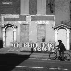 BRE Packshot ARC2779V Bristol Roots Explosion